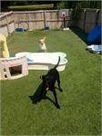 daycare pic 63 - benson and eames